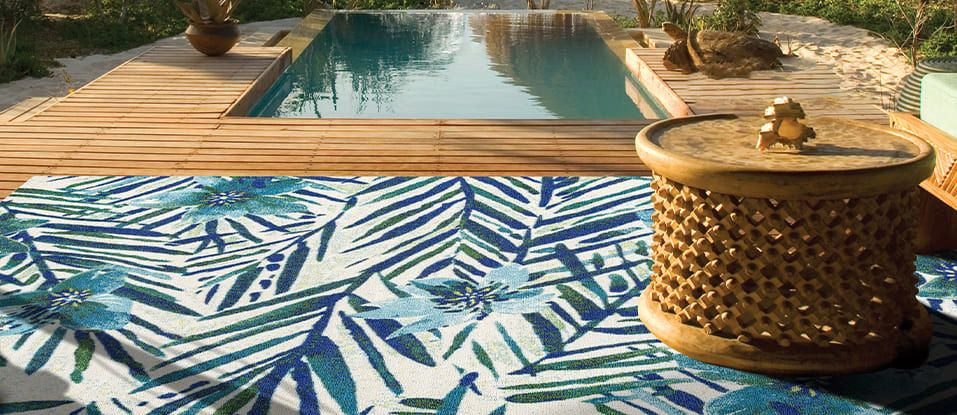 Indoor/Outdoor rugs